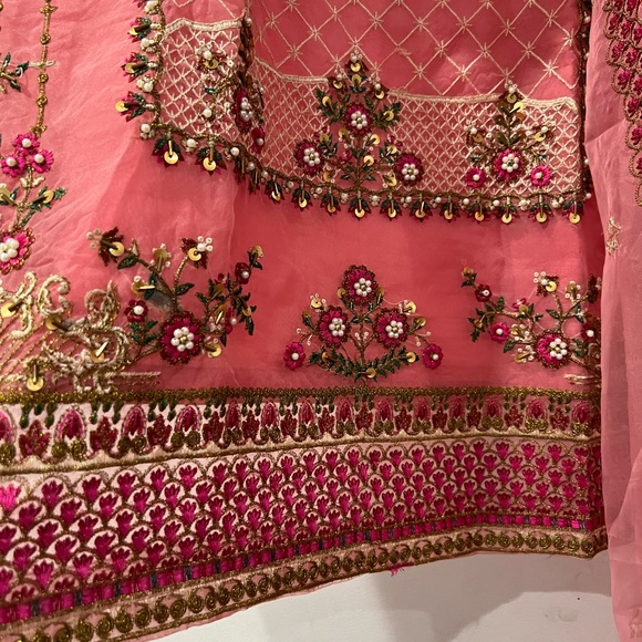 Indian Pakistani Embroidery Kameez and dupatta Organza - Picture 2 of 3
